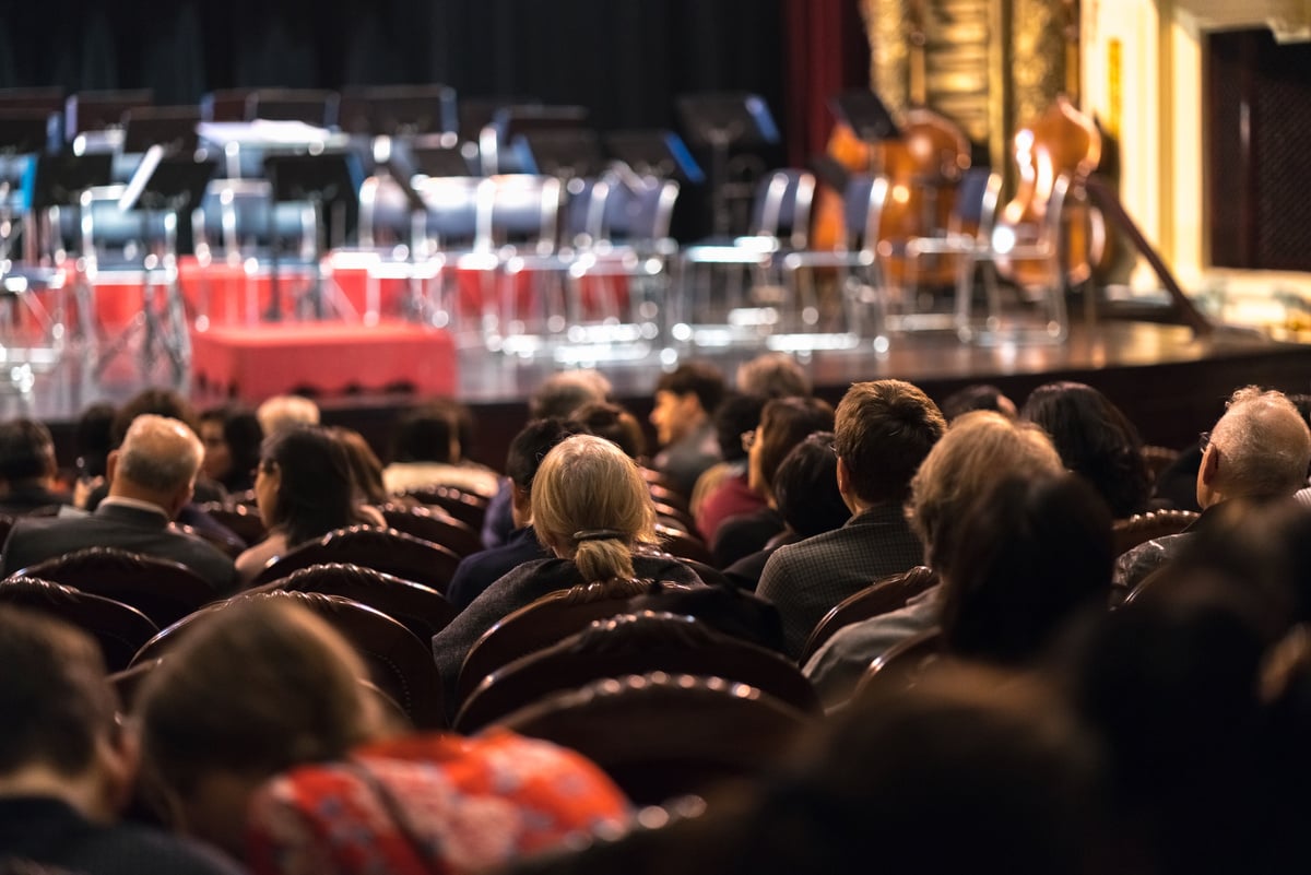 Audience Watching Concert Show in the Theater